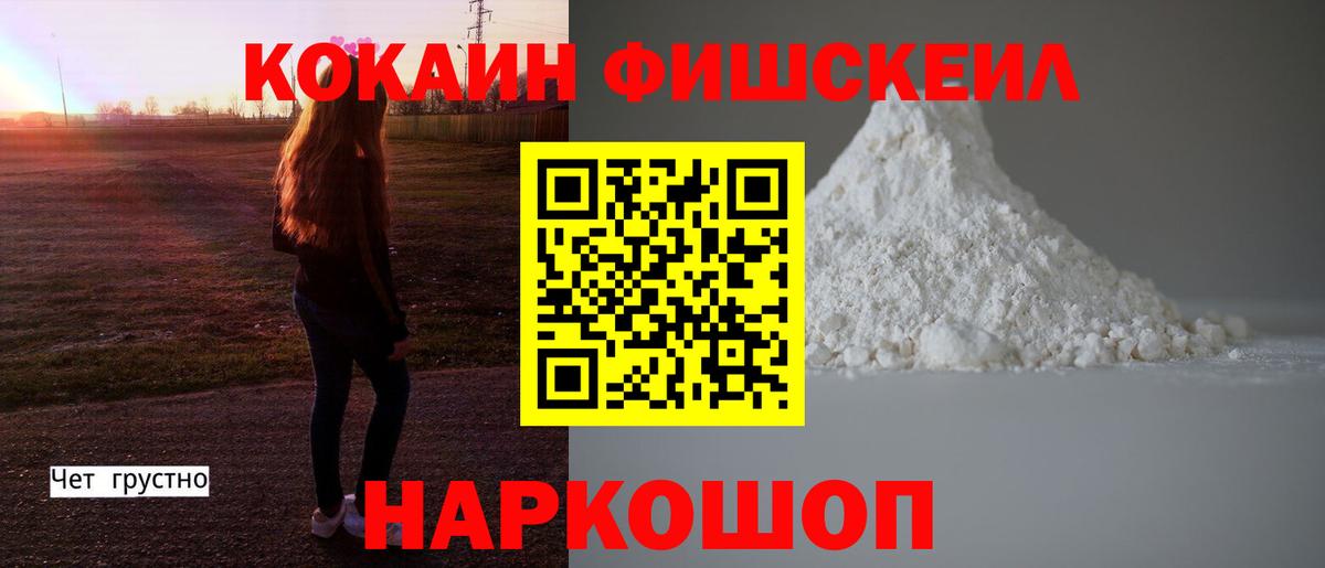 Cocaine FishScale  Вход с VPN  Заречный 