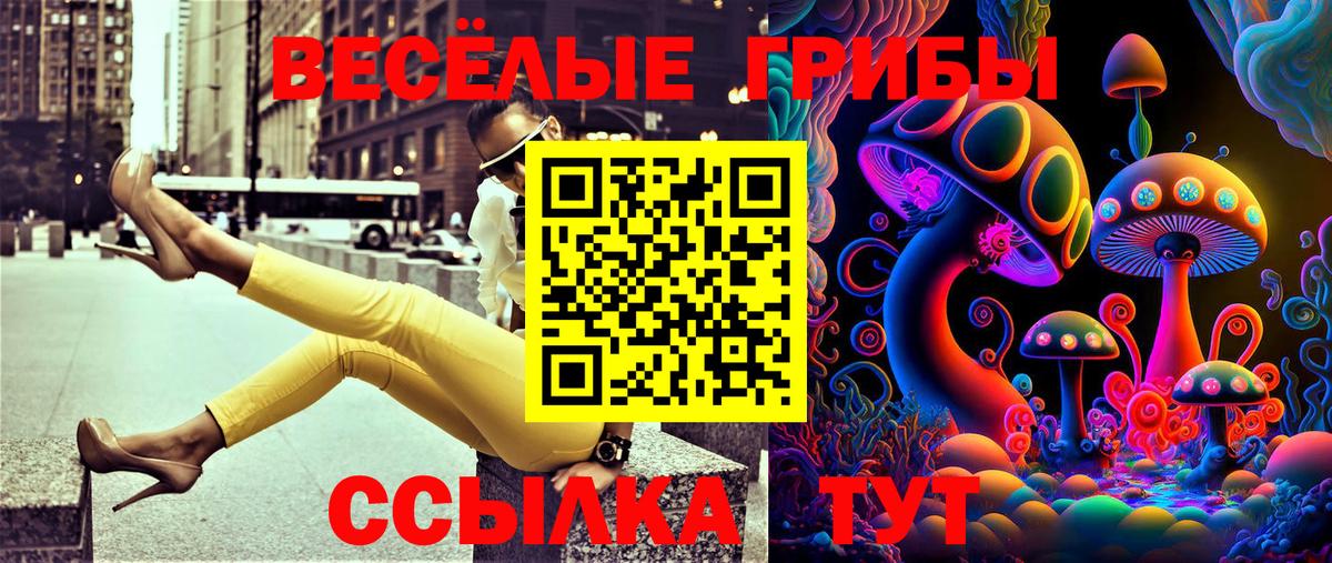 Заречный  Галлюциногенные грибы Psilocybe  Вход с VPN 
