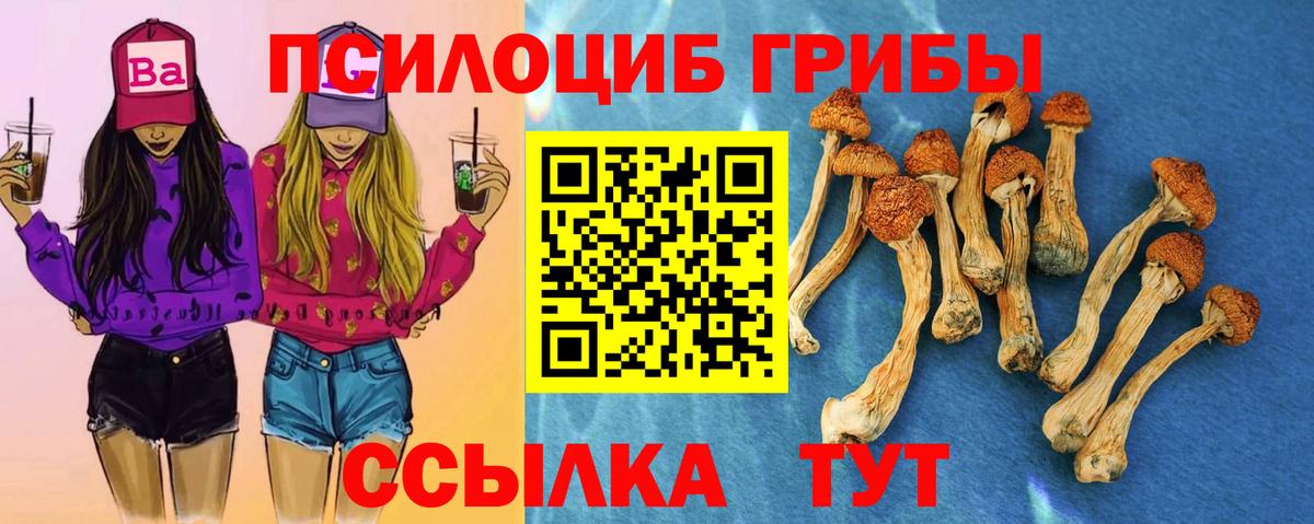 A-PVP Заречный