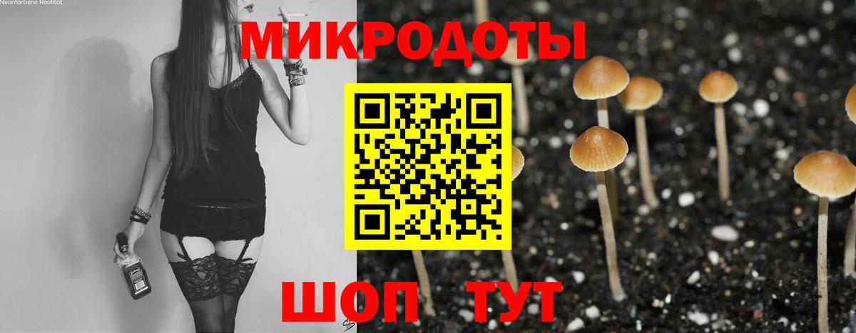 Псилоцибиновые грибы Cubensis Заречный